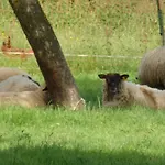 Les Trois Pommiers 3* Sommery
